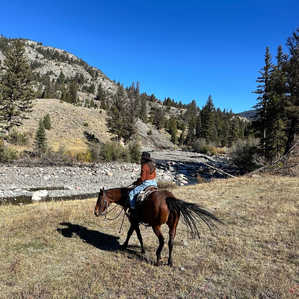 Meet your Posher, Lily